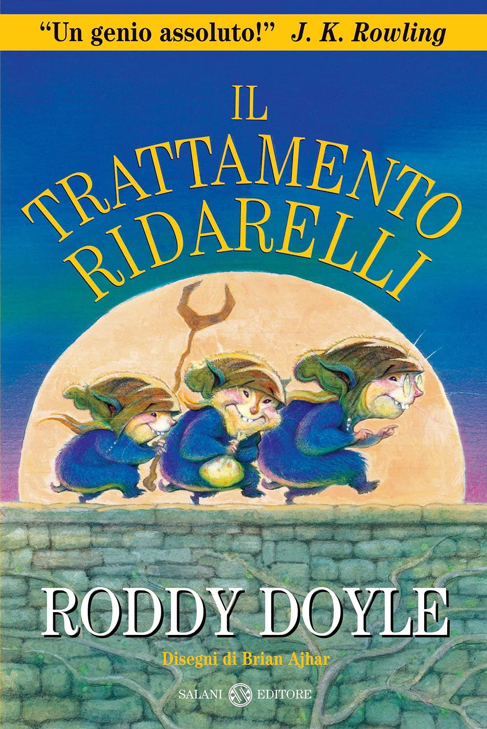 Il trattamento ridarelli Contemporary literature Books