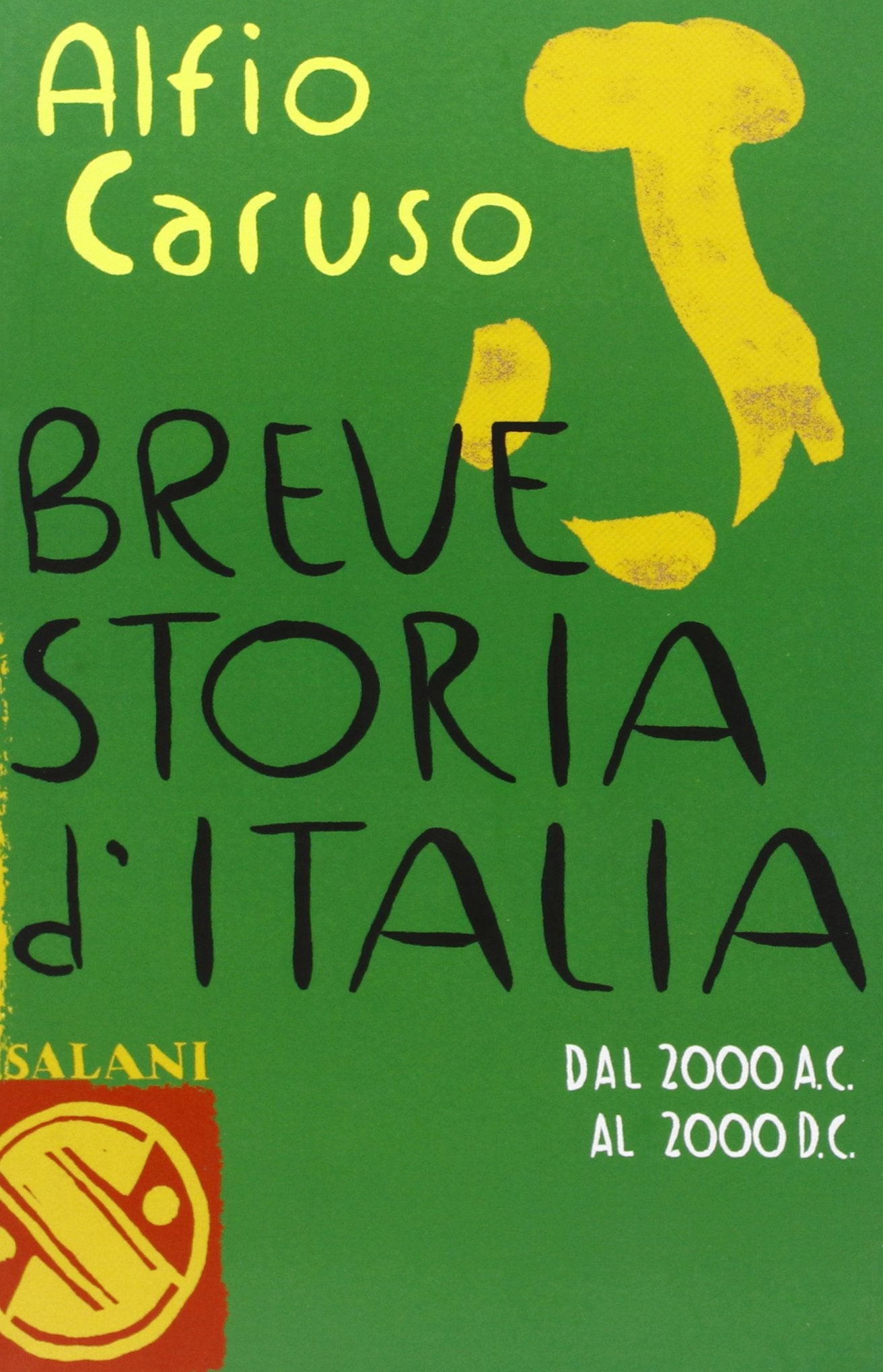 Breve storia d'Italia. Dal 2000 a.C. al 2000 d.C. book