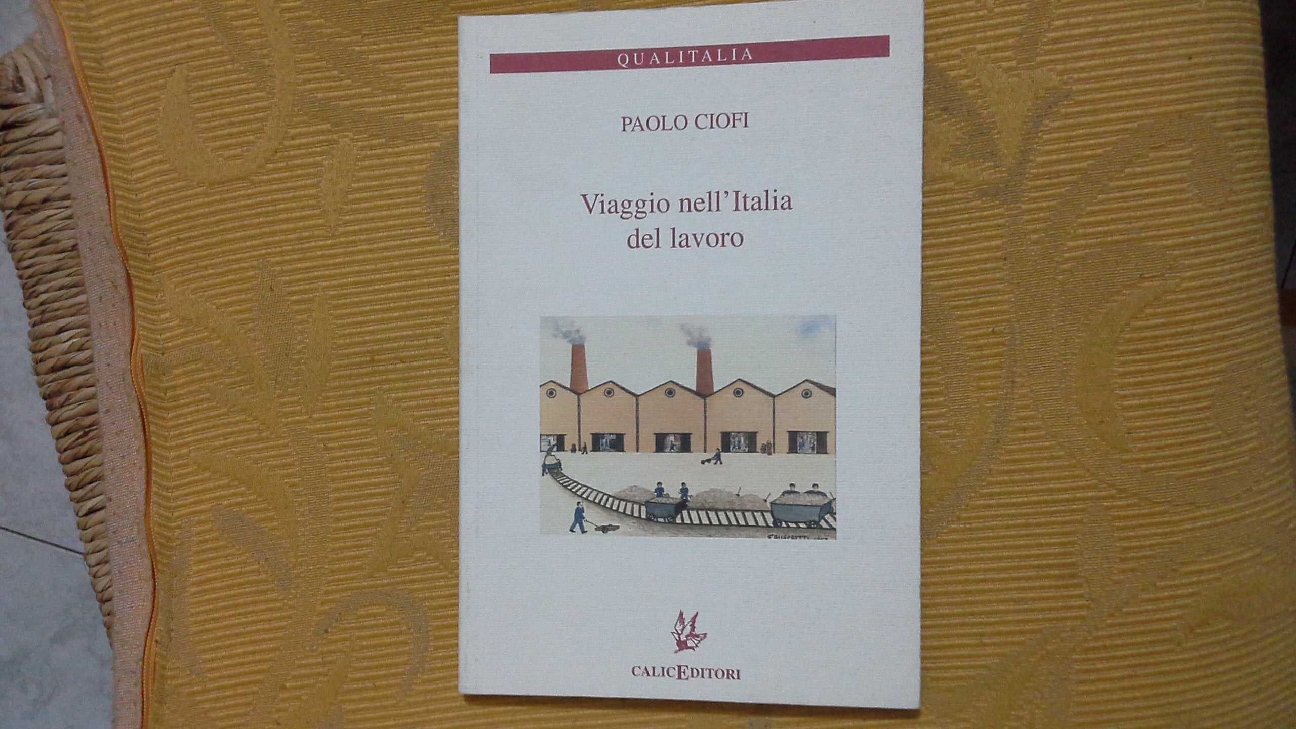 Viaggio nell'Italia del lavoro (Qualitalia) Social Sciences