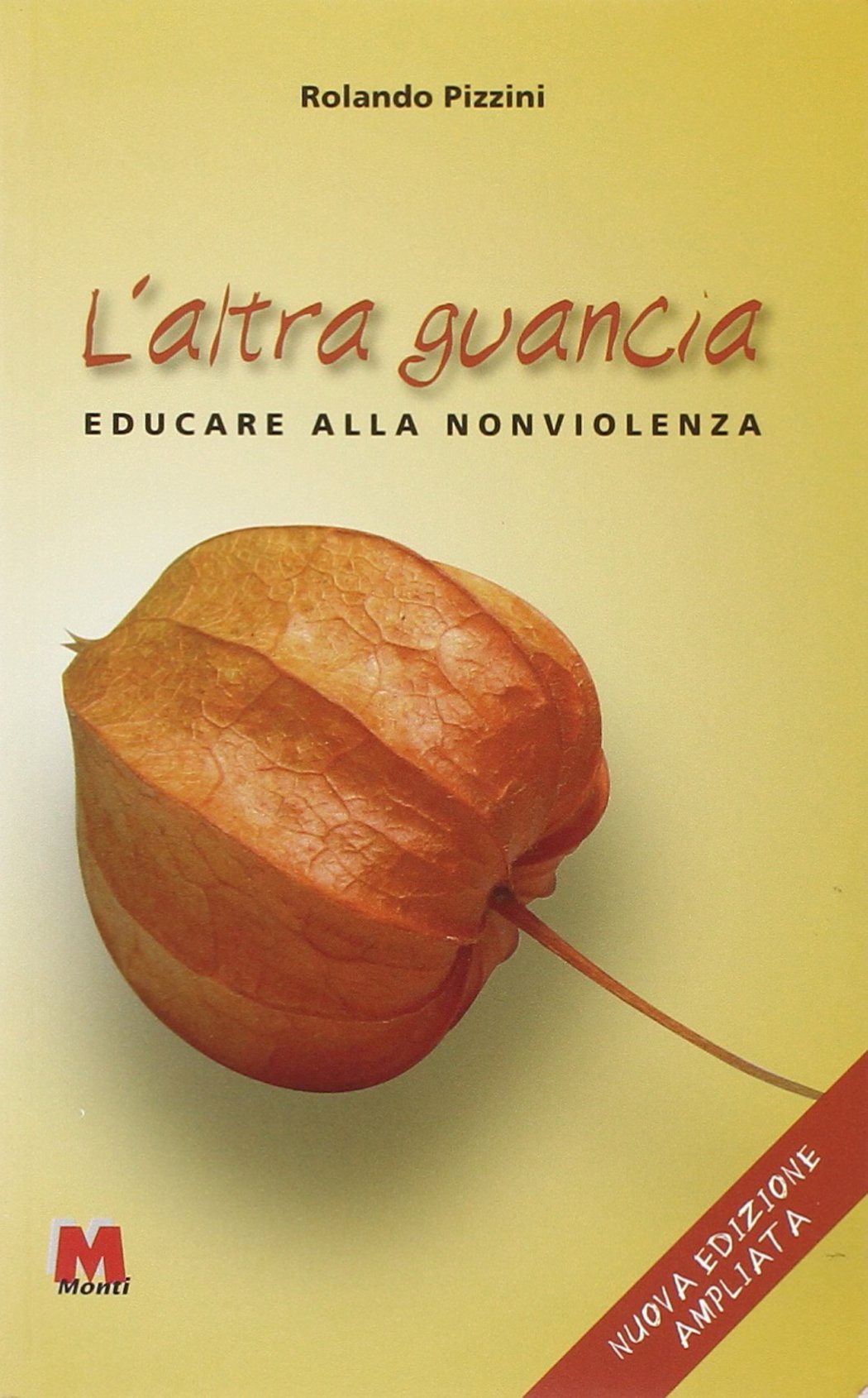 L'altra guancia. Educare alla nonviolenza book