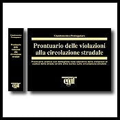 Prontuario delle violazioni alla circolazione stradale (I prontuari) Law