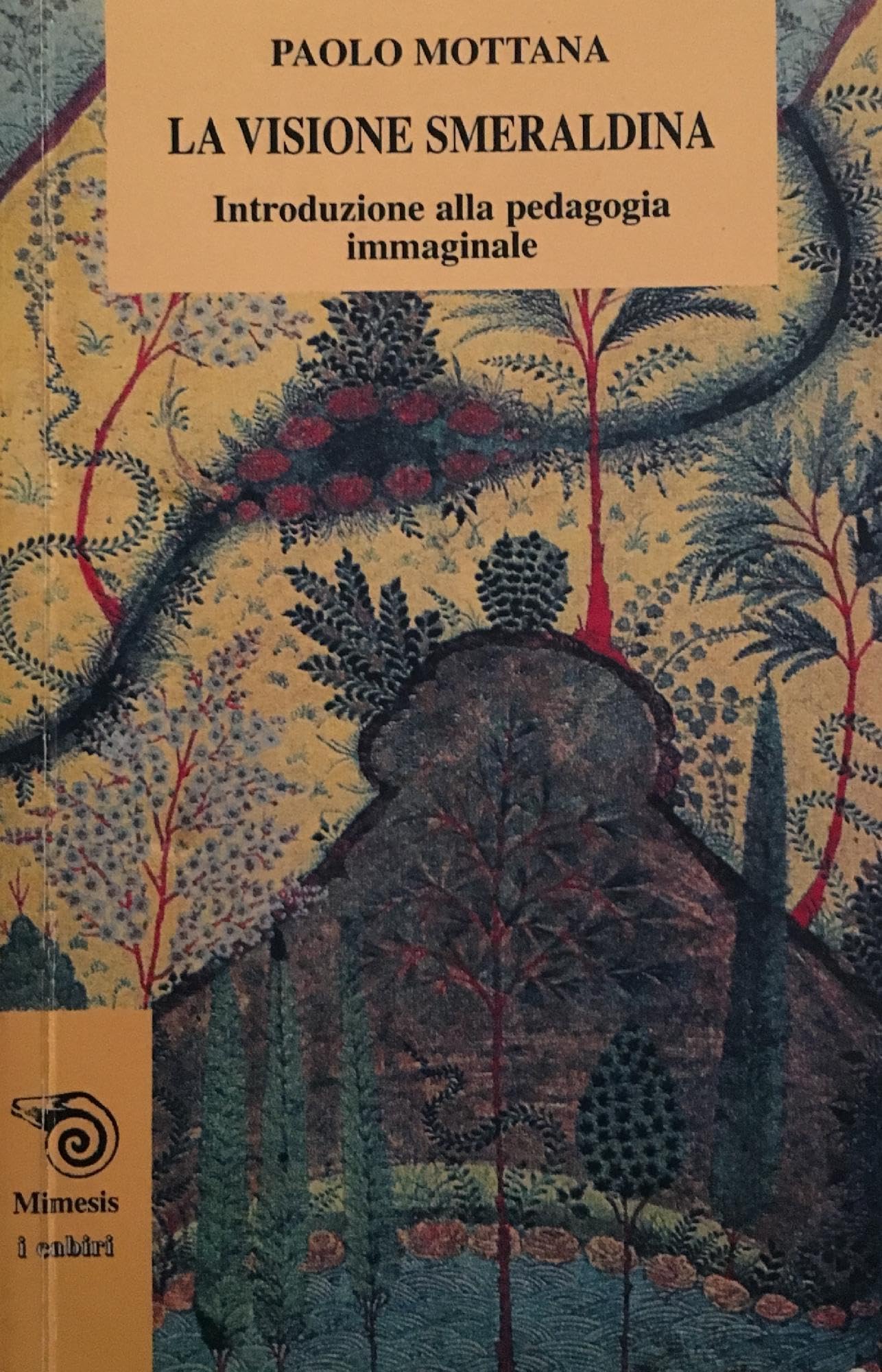 La visione smeraldina. Introduzione alla pedagogia immaginale book