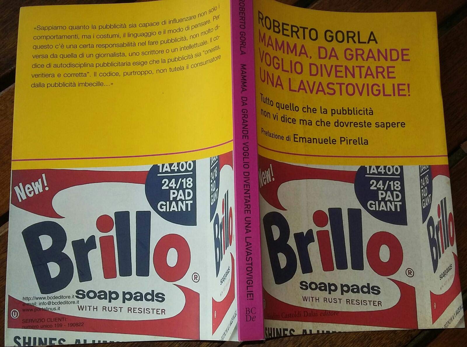 Mamma, da grande voglio diventare una lavastoviglie! Tutto quello che la pubblicità non vi dice ma che dovreste sapere book