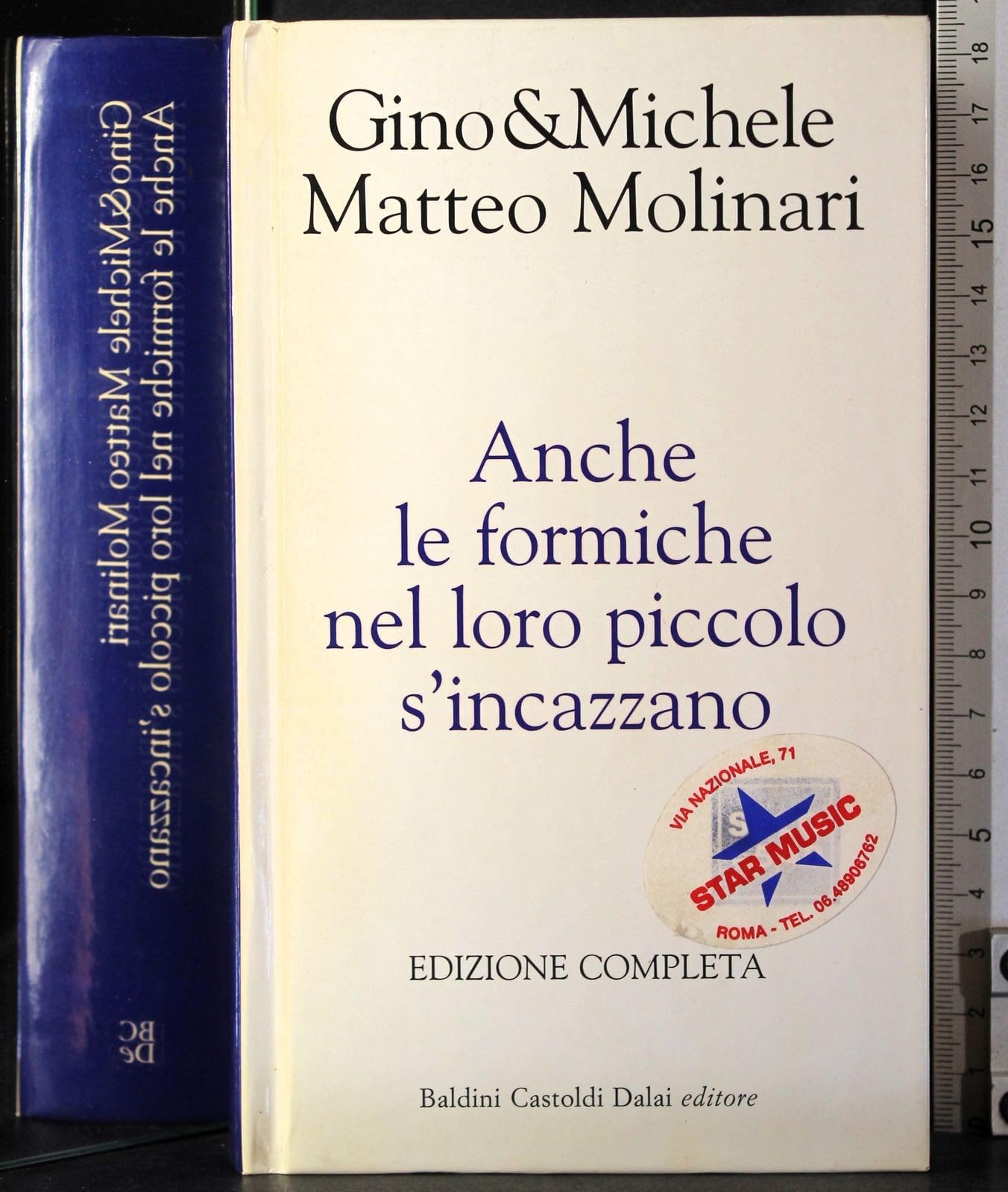 Anche le formiche nel loro piccolo s'incazzano book