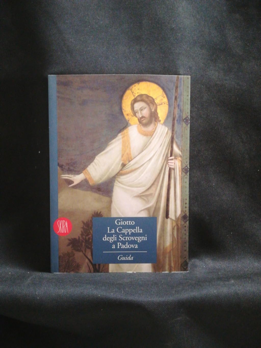 Giotto. La cappella degli Scrovegni a Padova. Ediz. illustrata (Musei collezioni e luoghi artistici) Film, Art & Culture