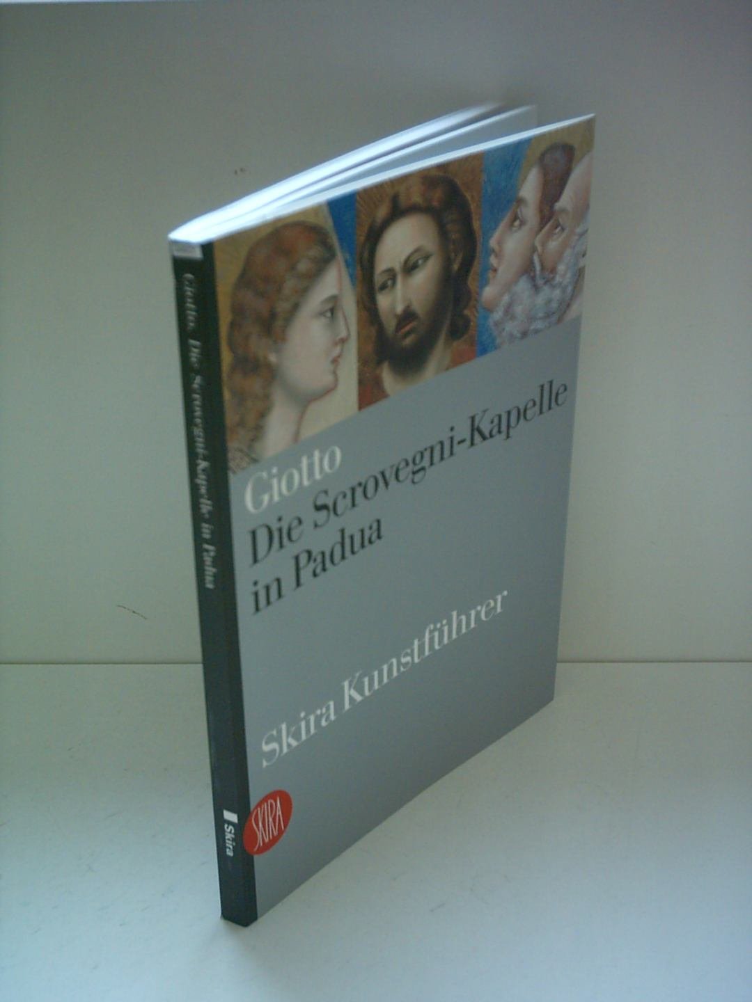 Giotto - Die Scrovegni-Kapelle in Padua (Skira Kunstführer) Books