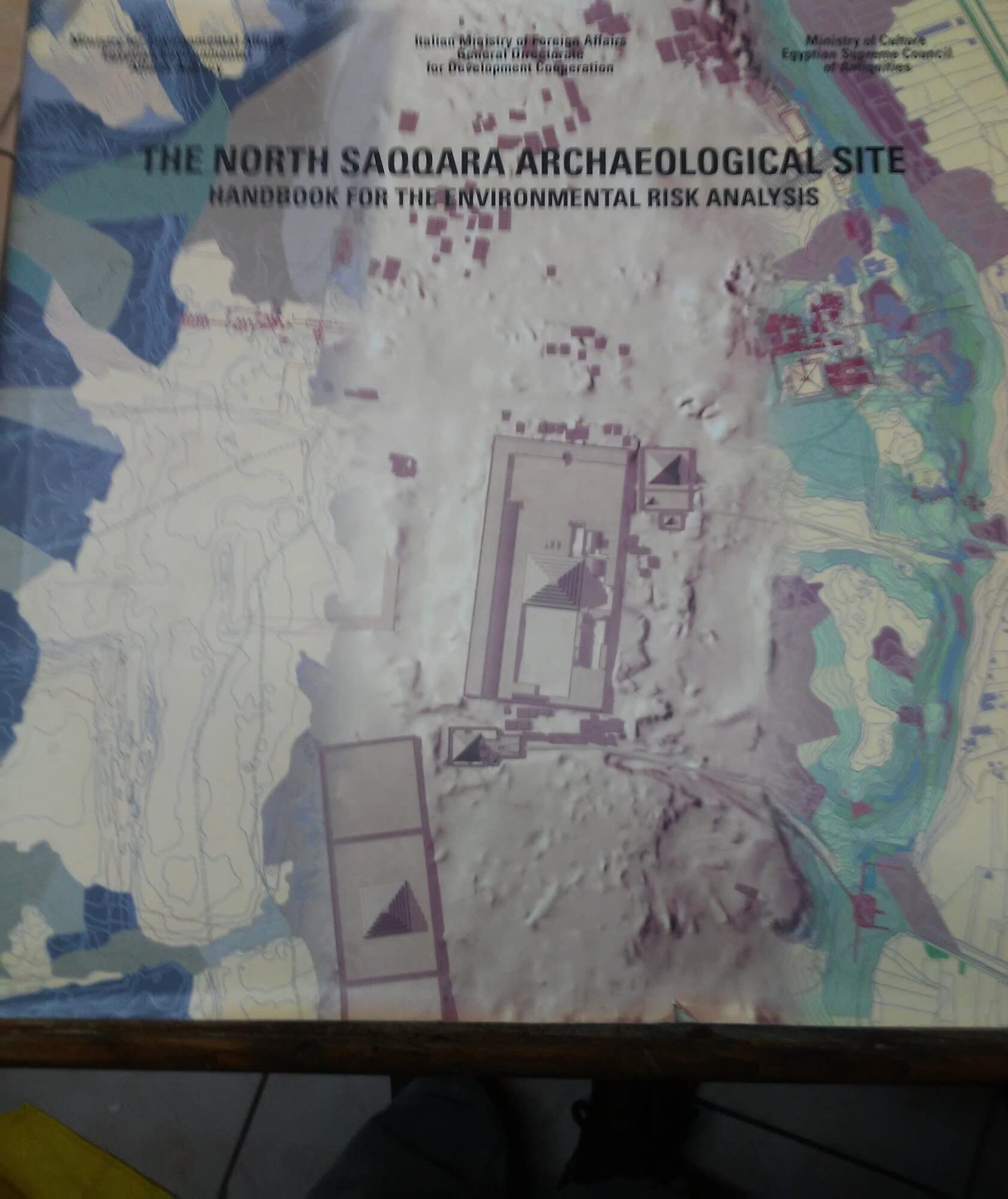 The north Saqqara archaelogical site. Handbook for the environmental risk analysis. Ediz. illustrata book