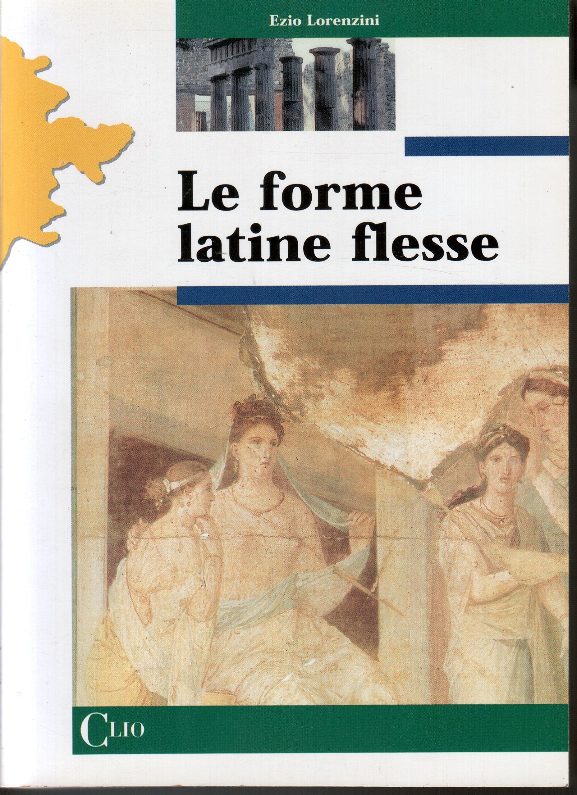 Le forme latine flesse. Per le Scuole superiori book