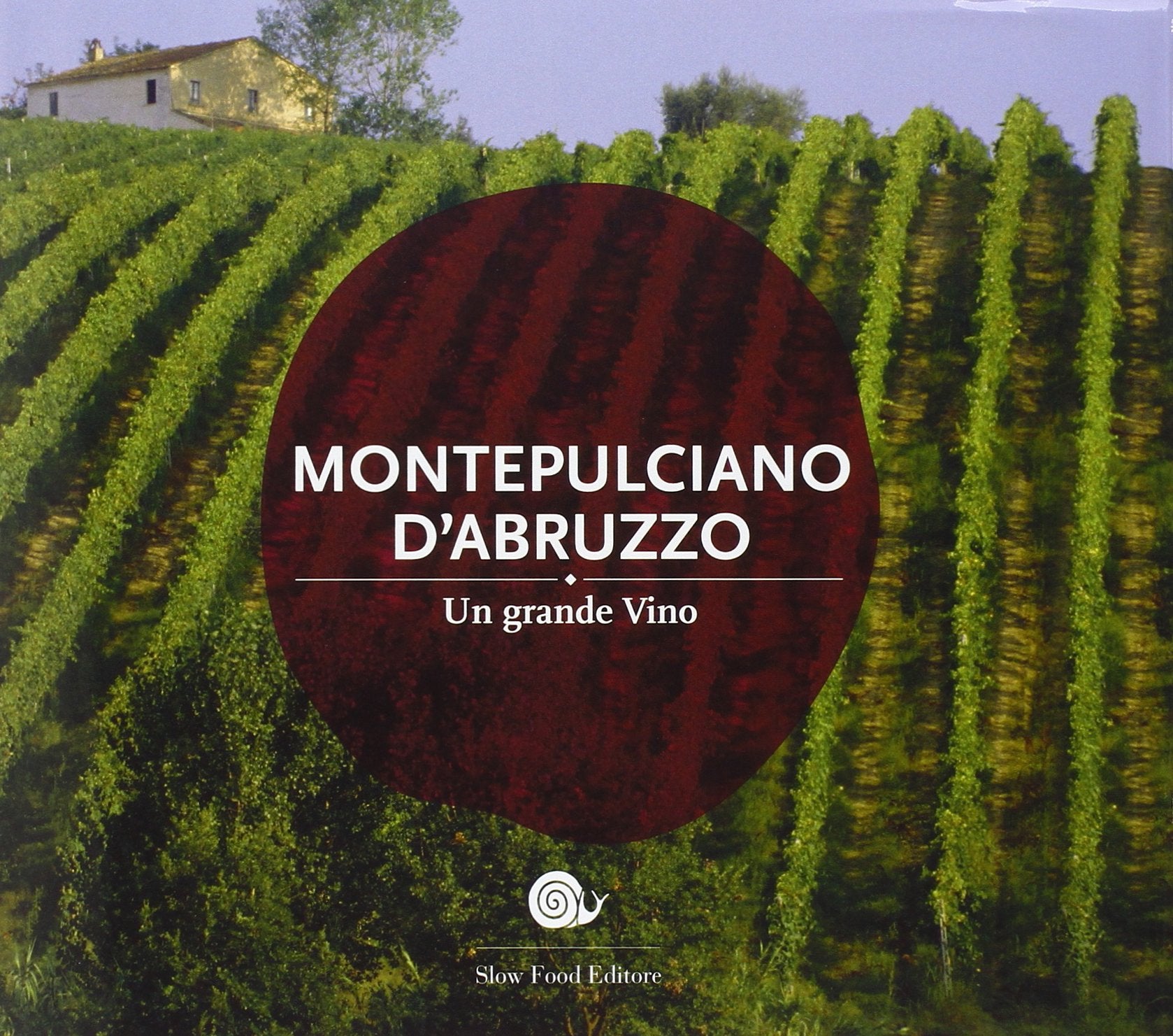 Montepulciano d'Abruzzo. Un grande vino book