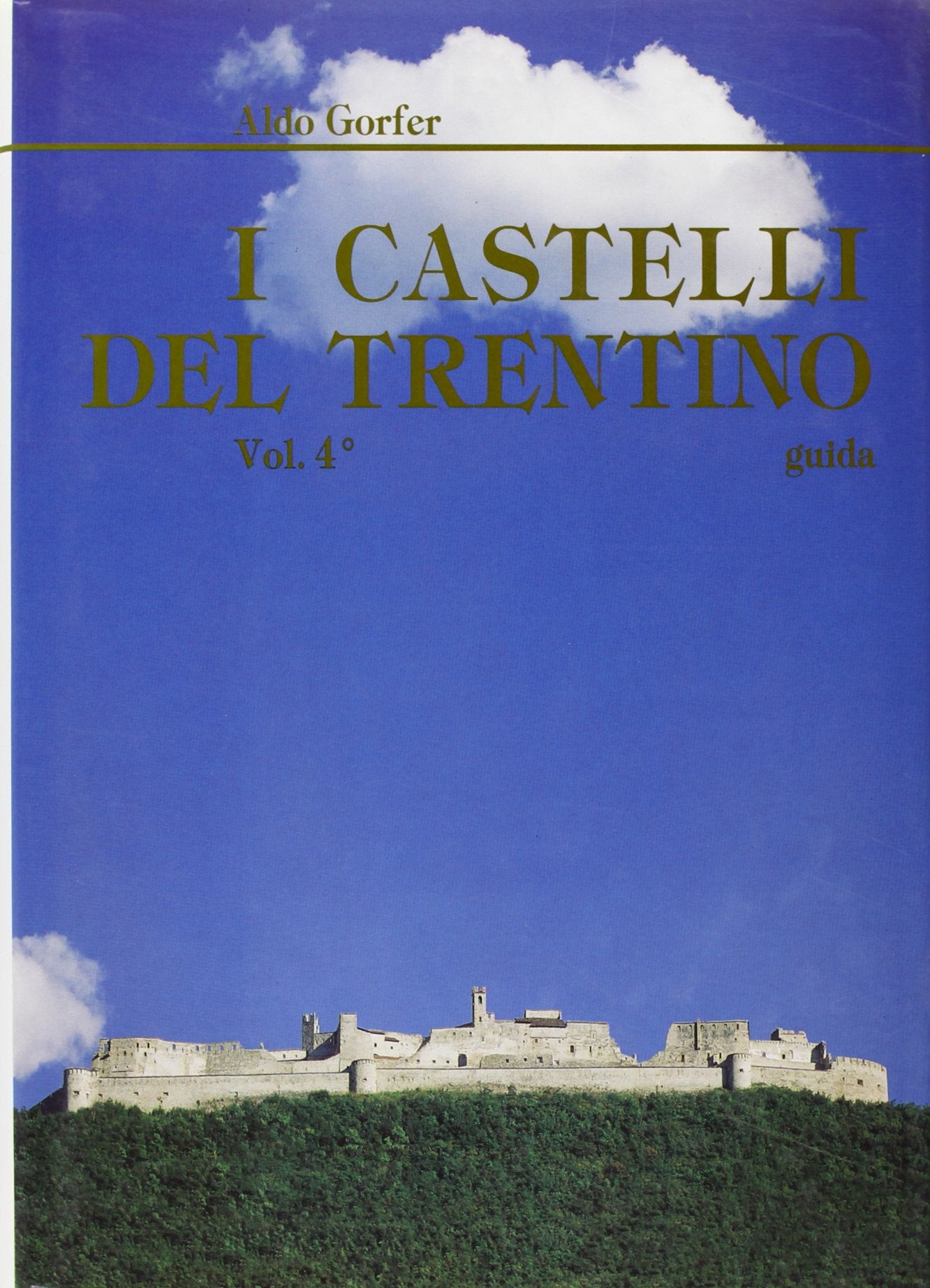 I castelli del Trentino. Rovereto e la Valle Lagarina (Vol. 4) book