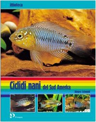 Ciclidi nani del Sud America book