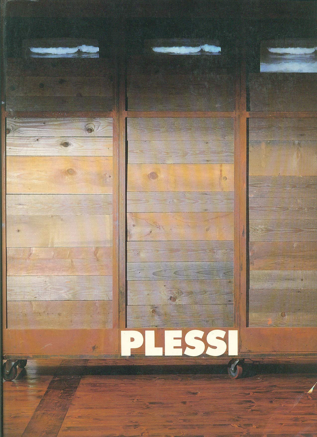 Fabrizio Plessi. Monografia book