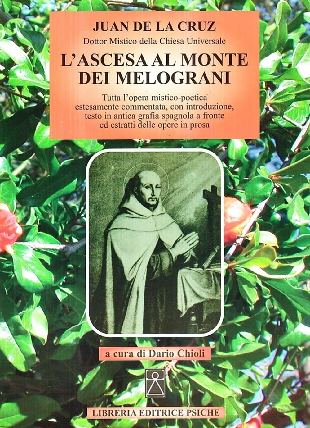 L'ascesa al monte dei melograni book