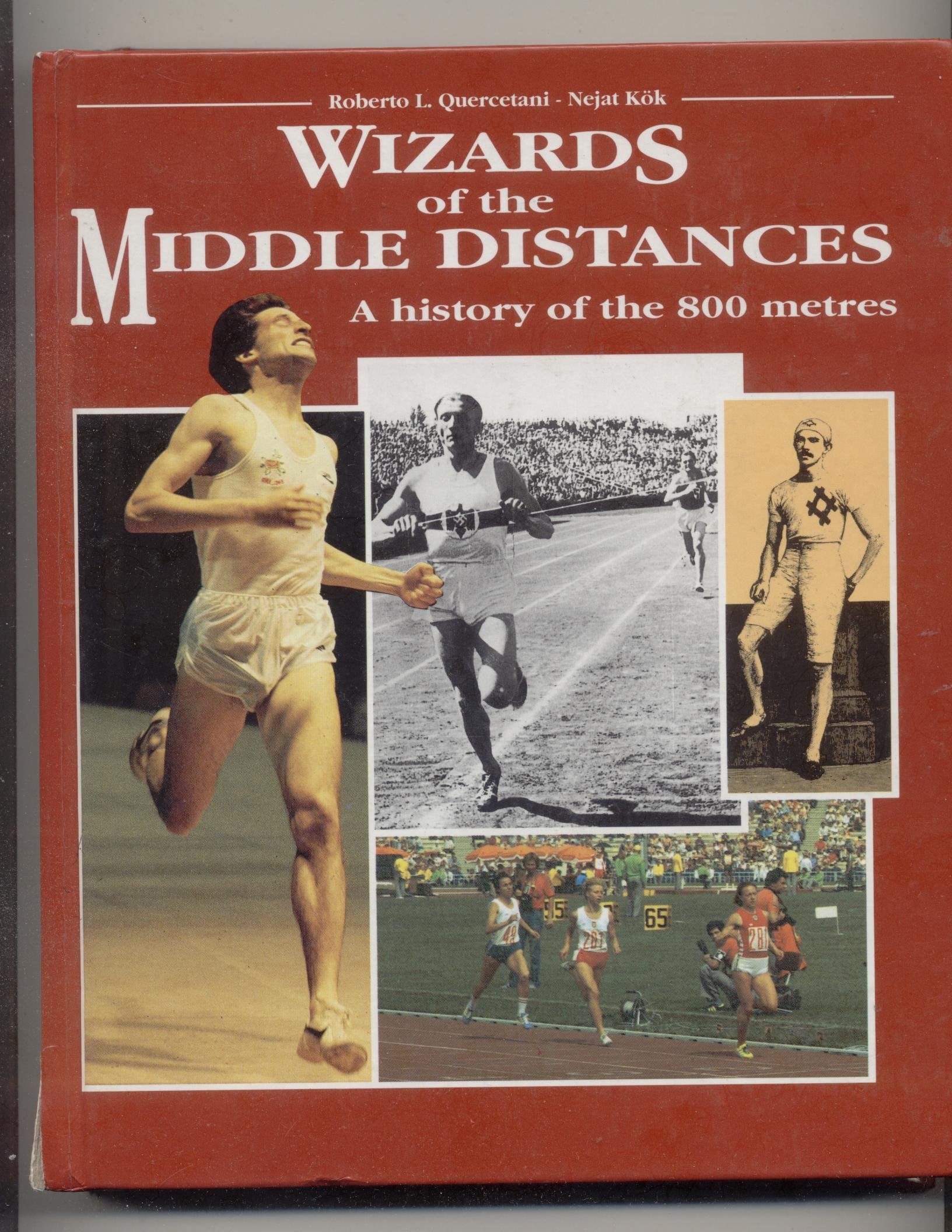 Wizards of the Middle Distances book