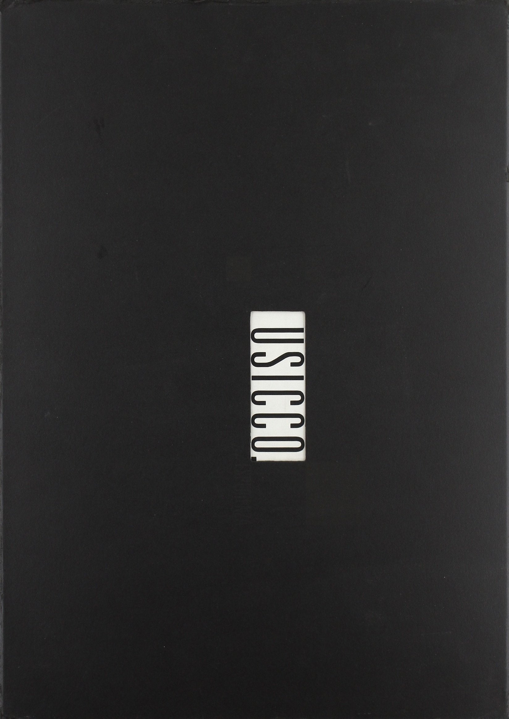 Pino Usicco. Esperienza. Ediz. in carta patinata Film, Art & Culture