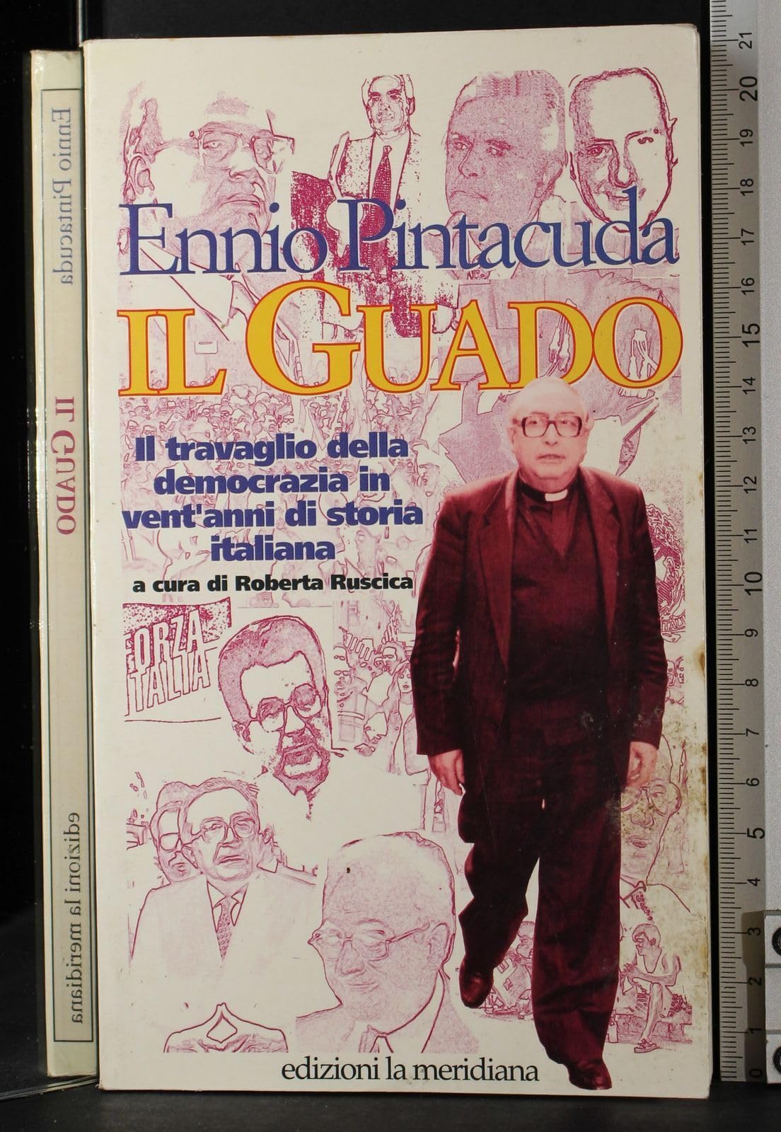 Il guado. Il travaglio della democrazia in 20 anni di storia italiana book