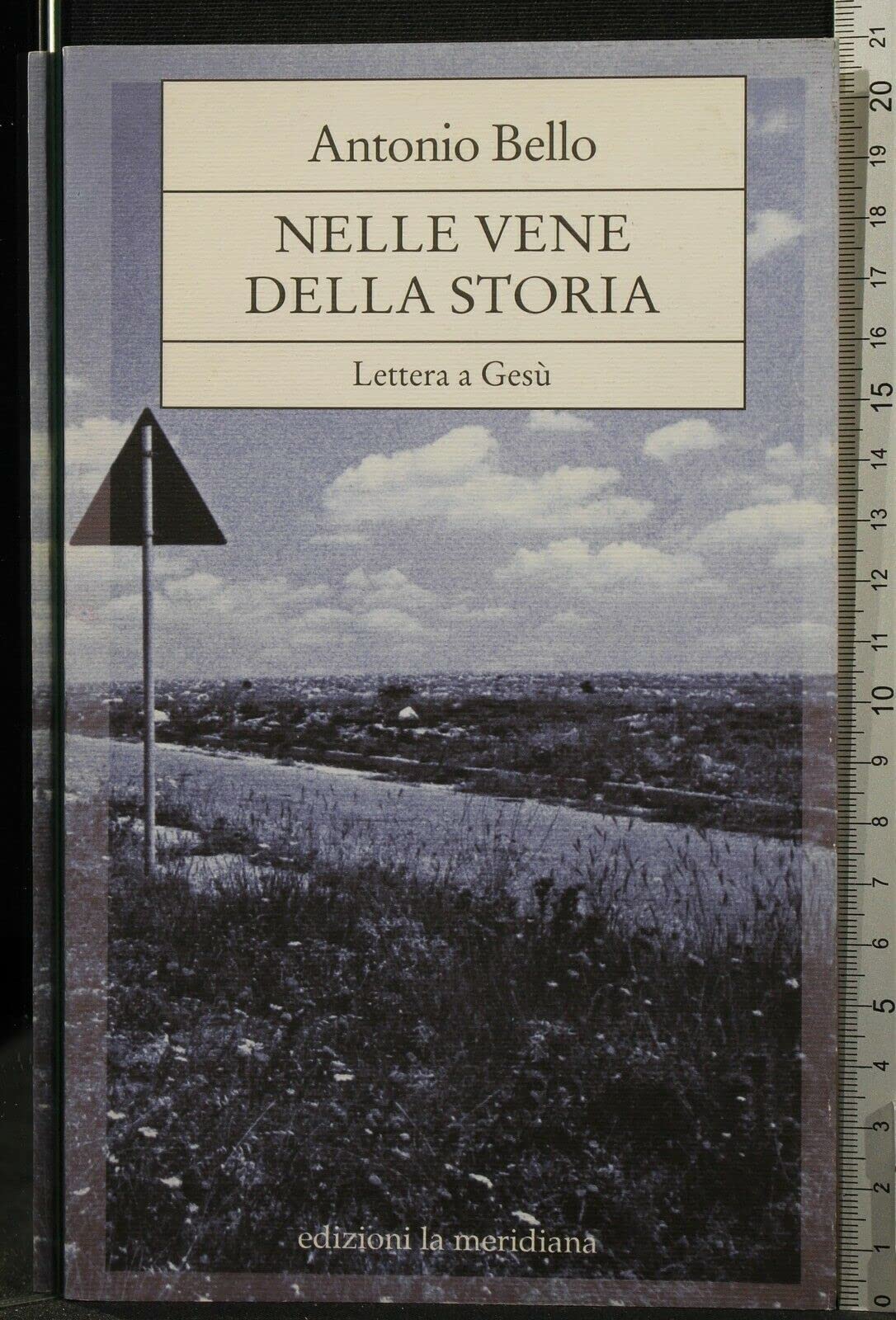 Nelle vene della storia. Lettera a Gesù book