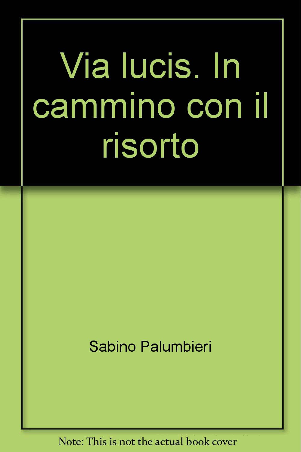 Via lucis. In cammino con il risorto (Opere varie) Religion & Esotericism