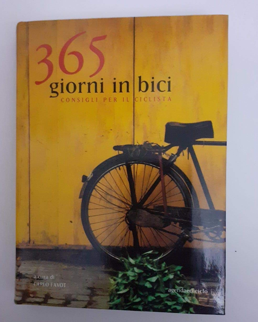 Trecentosessantacinque giorni in bici. Consigli per il ciclista book