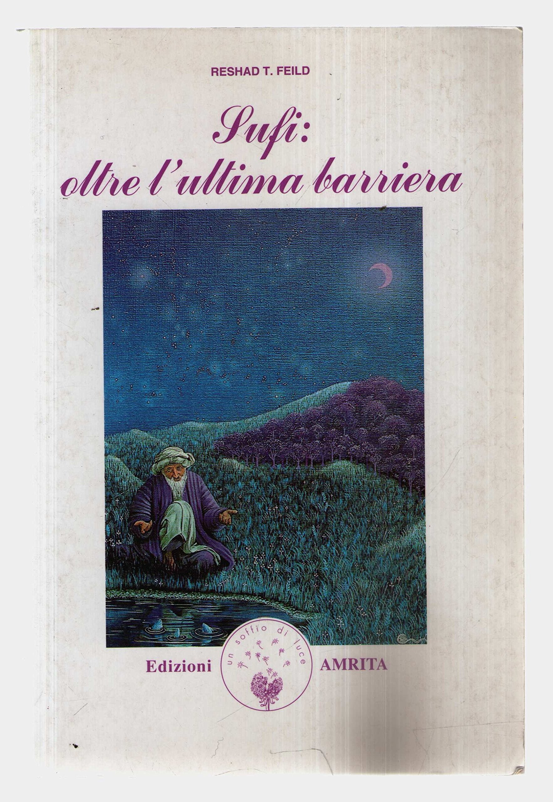 Sufi: oltre l'ultima barriera (Saggezza dell'Islam) Religion & Esotericism