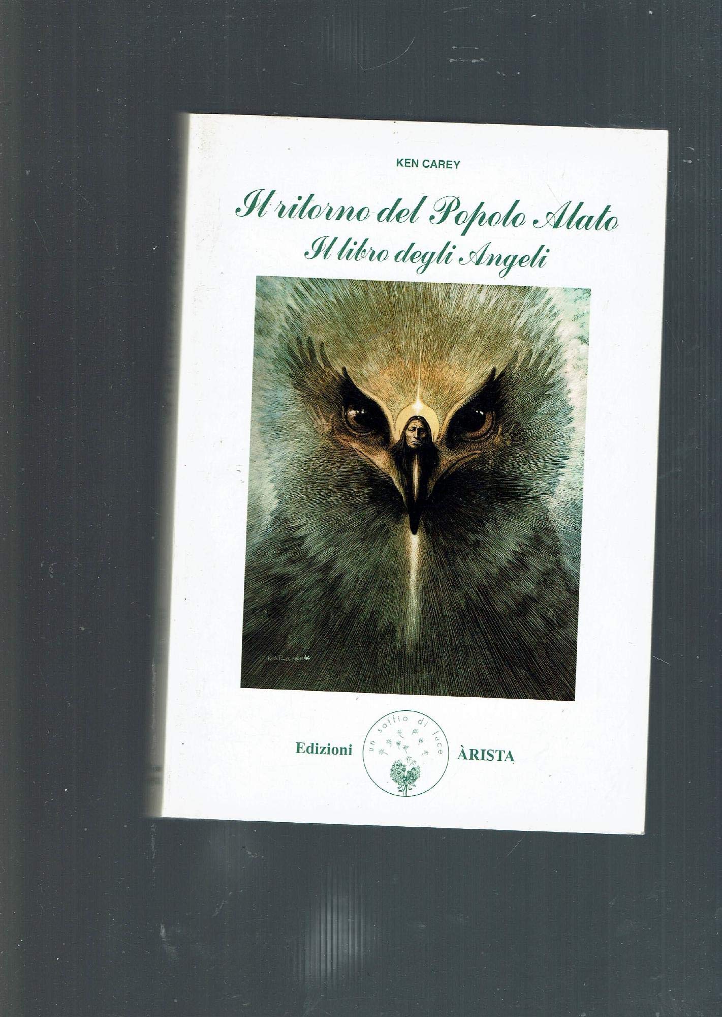 Il ritorno del popolo alato. Il libro degli angeli book