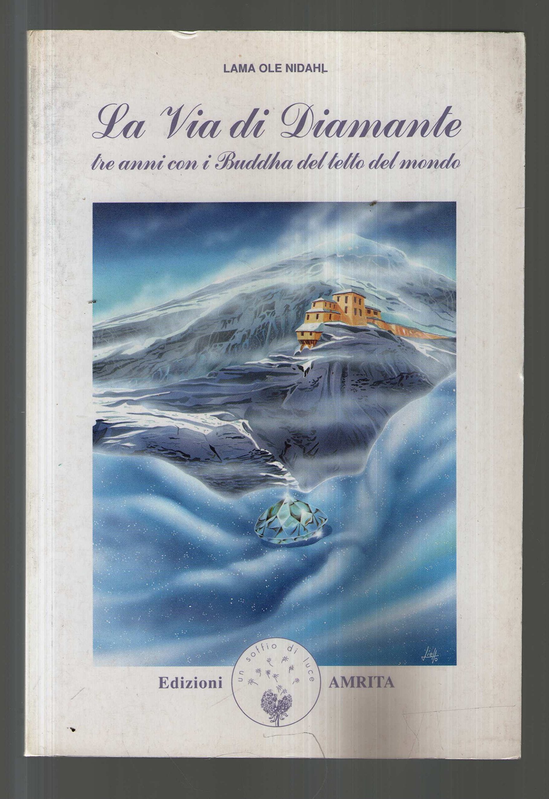 La via di diamante. Tre anni con i buddha del tetto del mondo (Saggezza buddhista) Religion & Esotericism