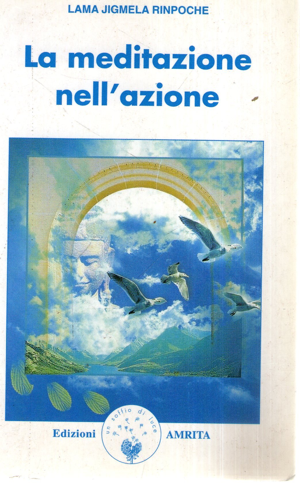 La meditazione nell'azione book