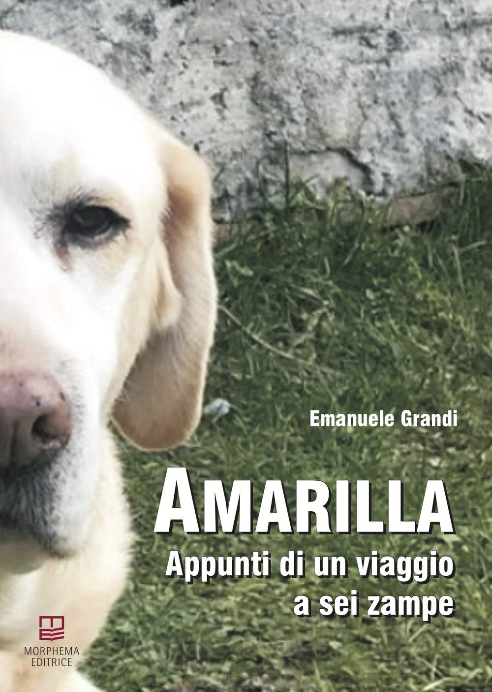 Amarilla. Appunti di un viaggio a sei zampe book