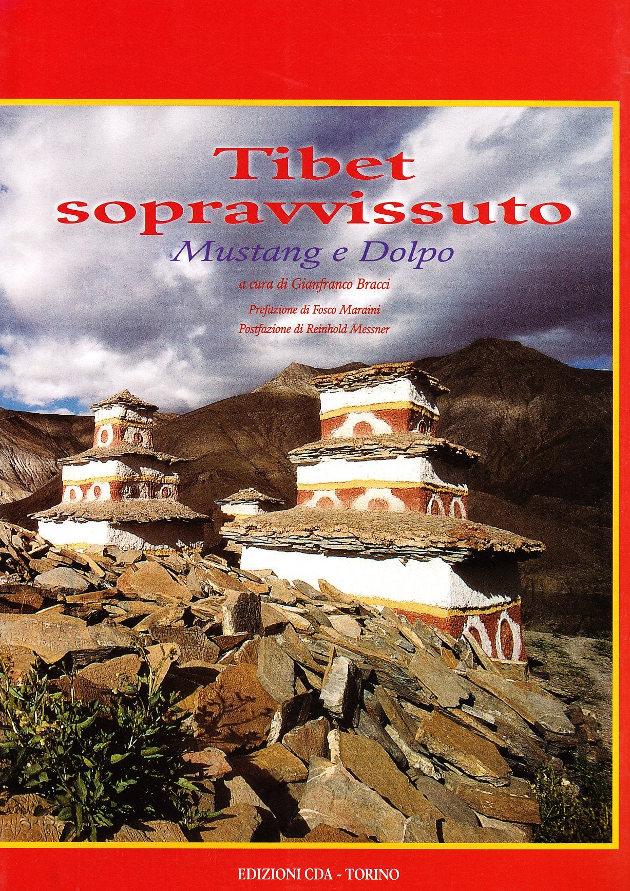 Tibet sopravvissuto. Mustang e Dolpo (Fuori linea) Leisure, Home & Garden