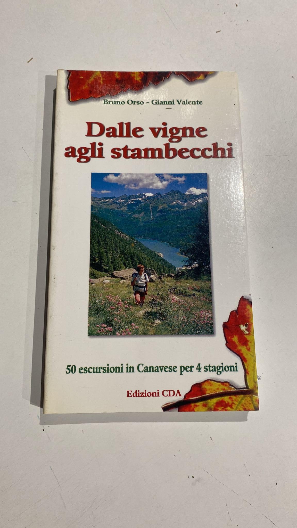 Dalle vigne agli stambecchi. 50 escursioni in Canavese per quattro stagioni book
