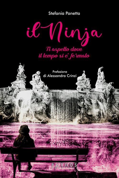 Il ninja. Ti aspetto dove il tempo si è fermato book