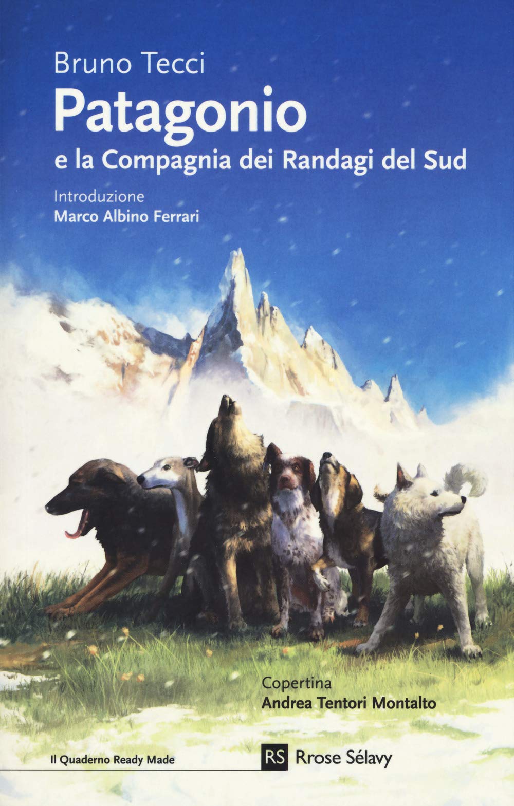 Patagonio e la compagnia dei randagi del sud (Il quaderno Ready Made) Contemporary literature