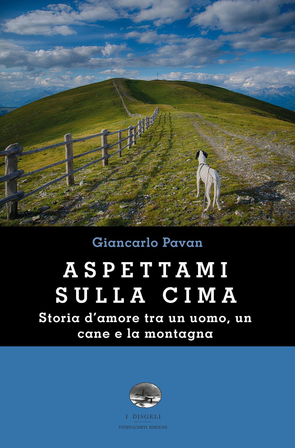 Aspettami sulla cima (I disgeli) Art & Literature