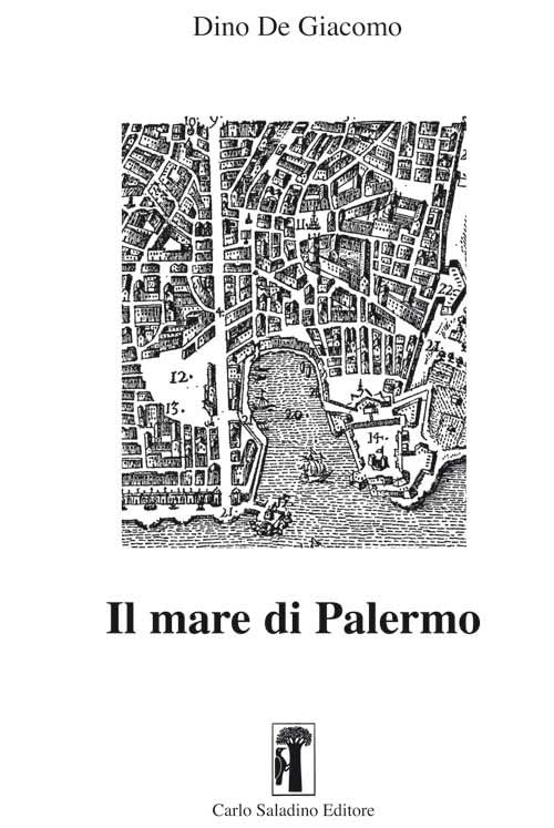 Il mare di Palermo. Nuova ediz. book