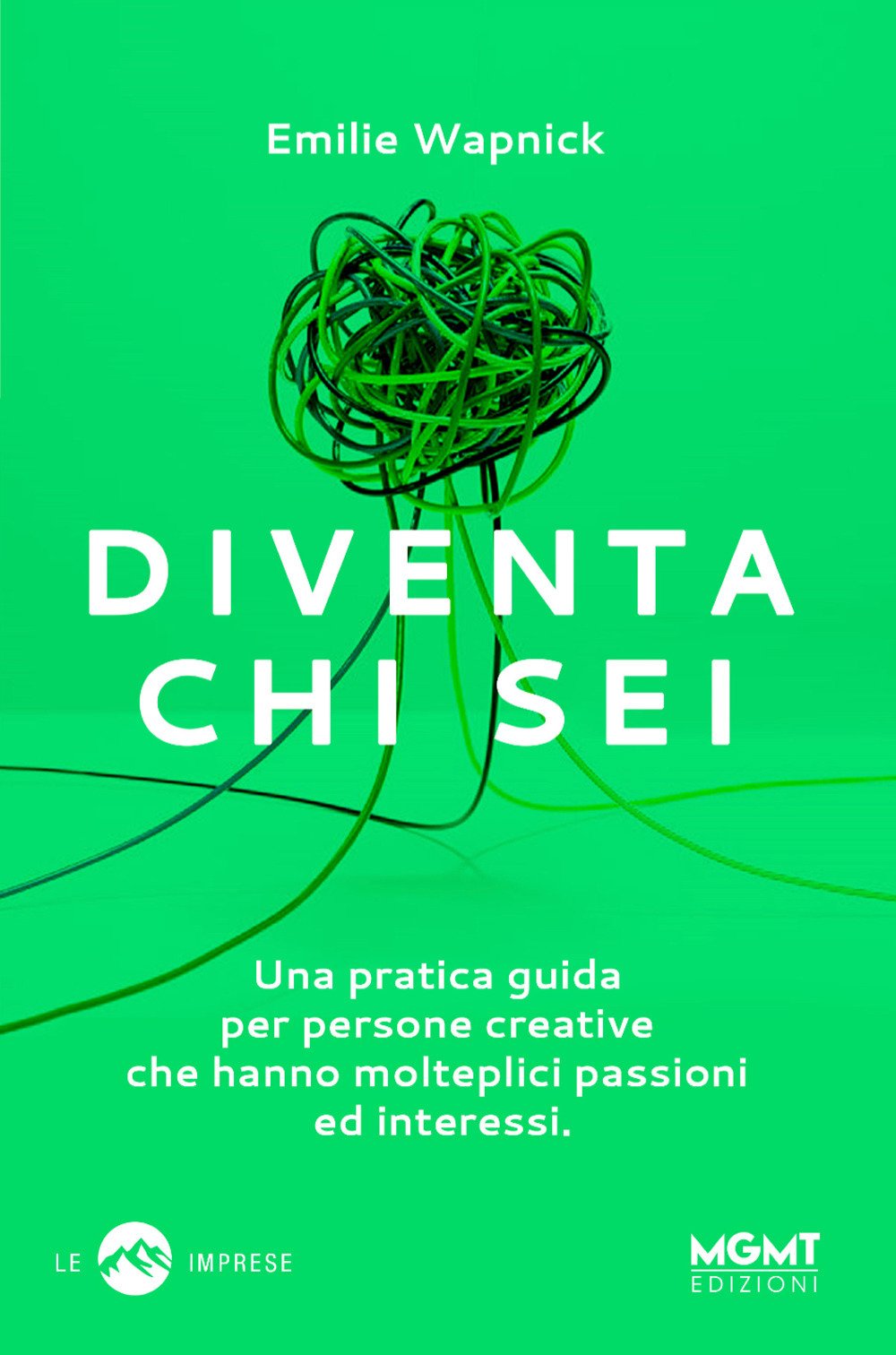 Diventa chi sei. Una pratica guida per persone creative che hanno molteplici passioni e interessi book