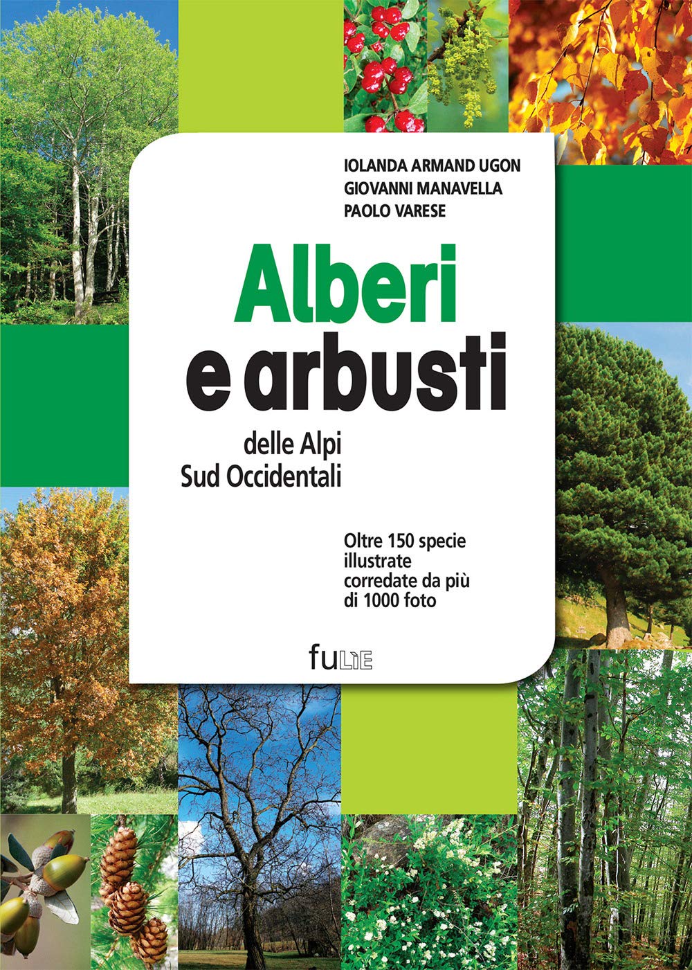Alberi e arbusti delle Alpi Occidentali. Ediz. a colori book