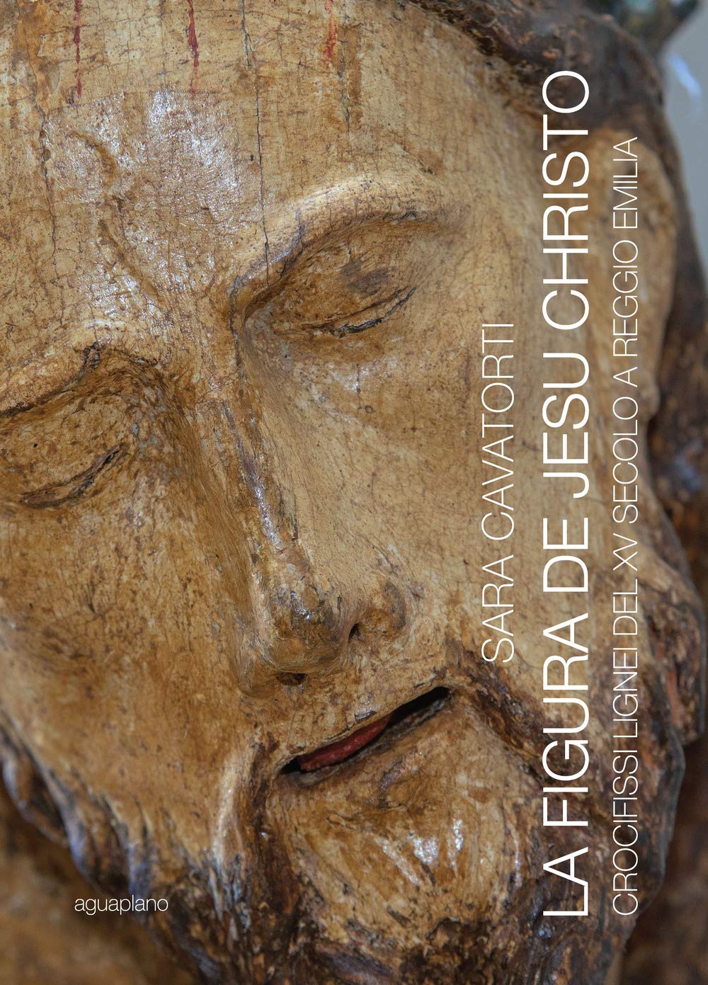 La figura de Jesu Christo. Crocifissi lignei del XV secolo a Reggio Emilia book