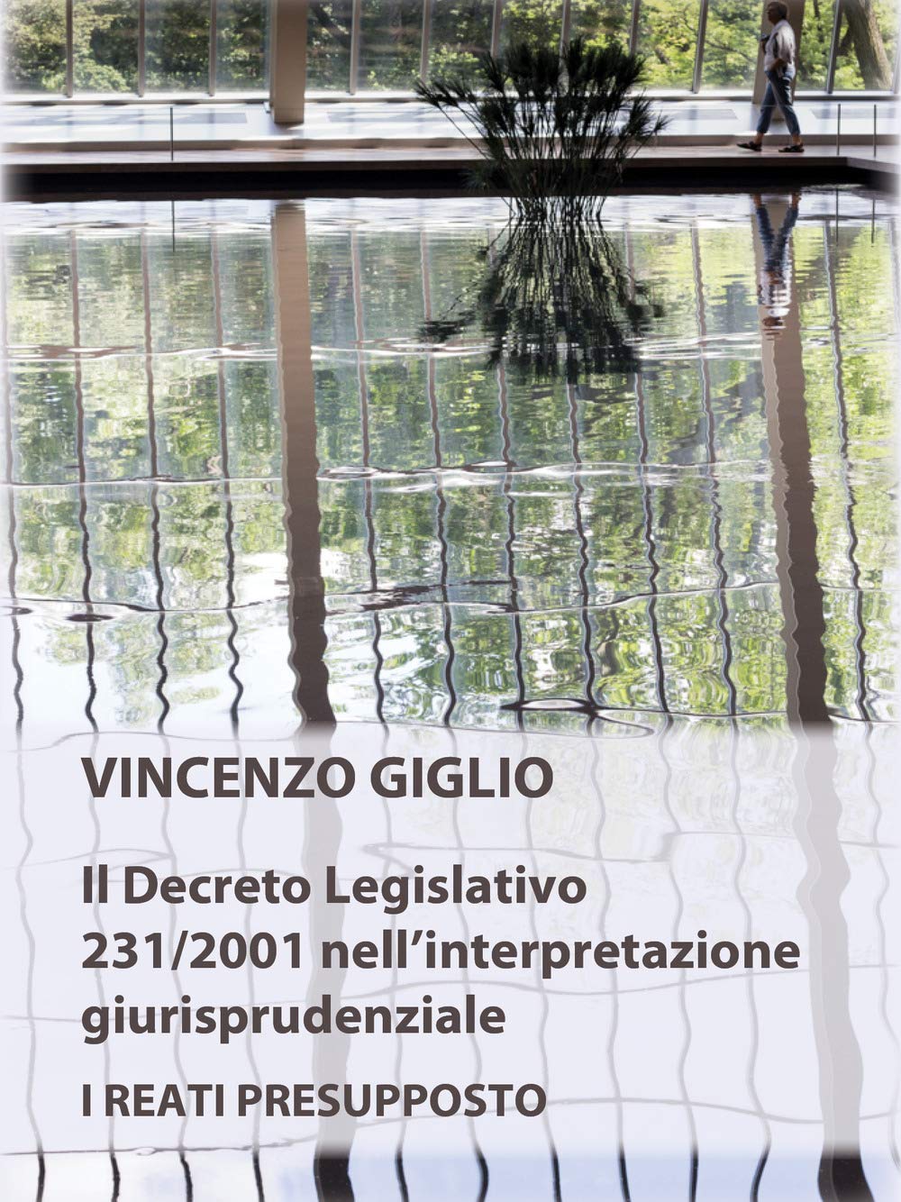 Il Decreto Legislativo 231/2001 Nell'interpretazione Giurisprudenziale. I Reati Presupposto Law