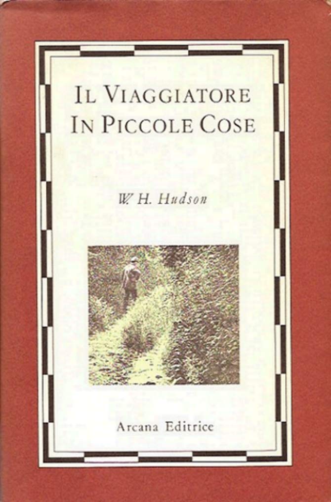 Viaggiatore in piccole cose book