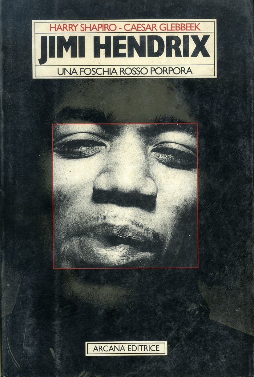 Jimi Hendrix. Una foschia rosso porpora book