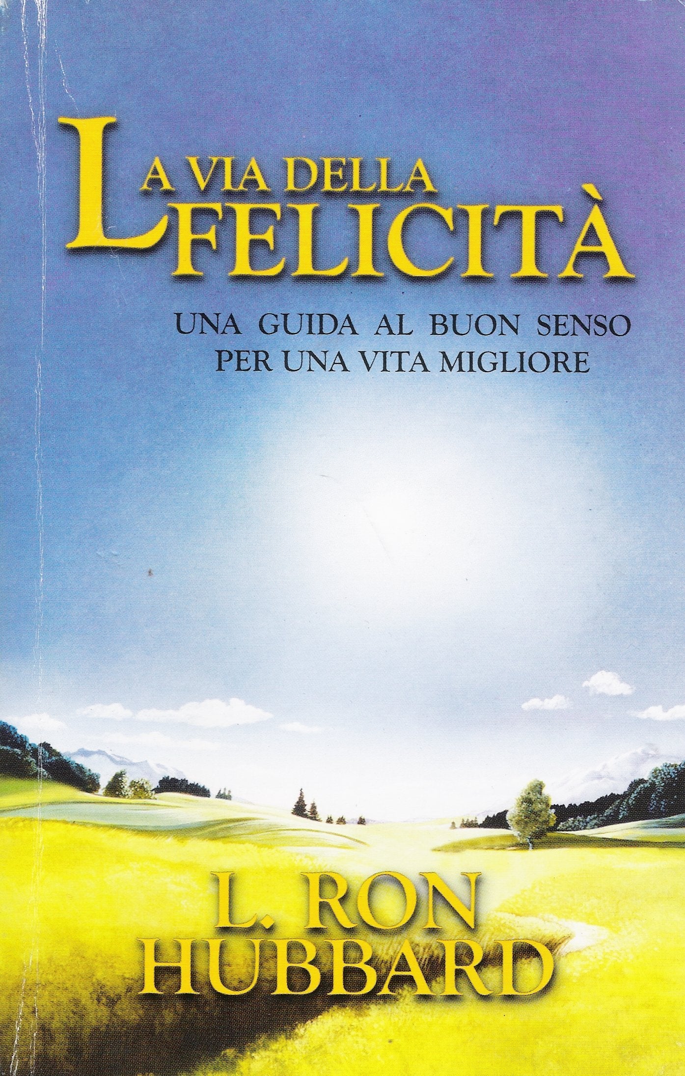 La via della felicità. Una guida al buonsenso per una vita migliore (Alla scoperta dell'uomo) Books