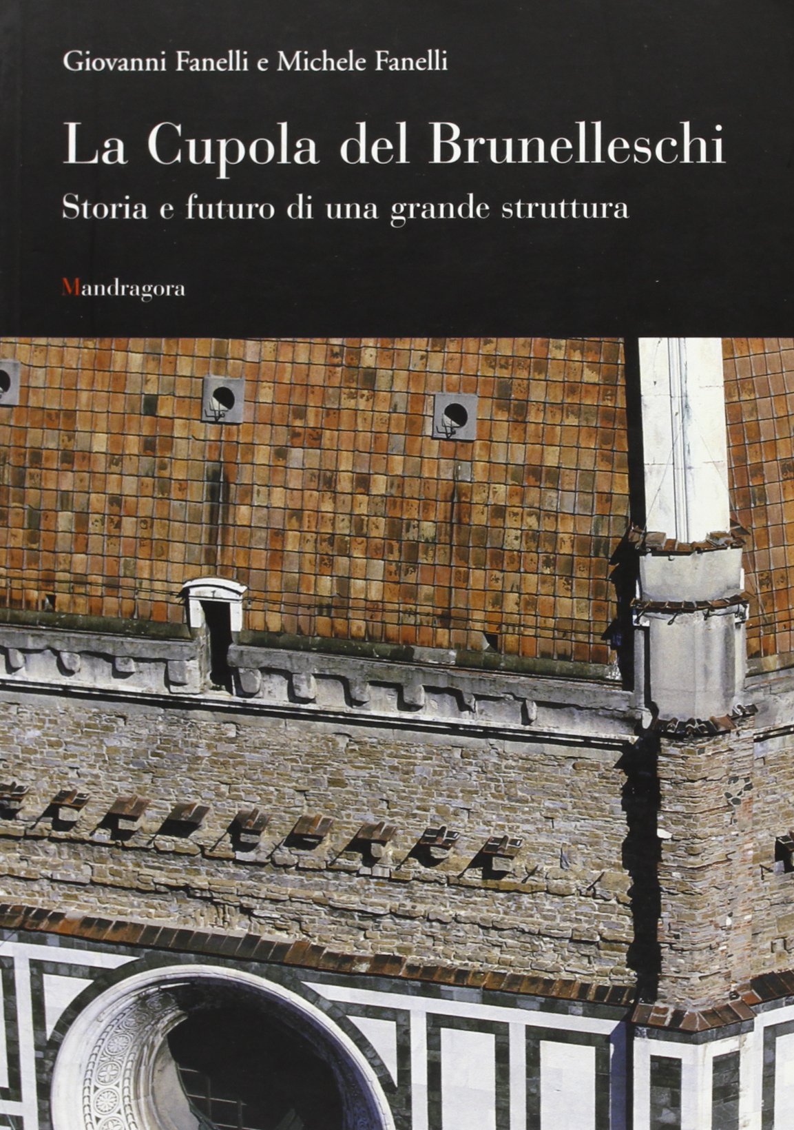 La cupola del Brunelleschi. Storia e futuro di una grande struttura book