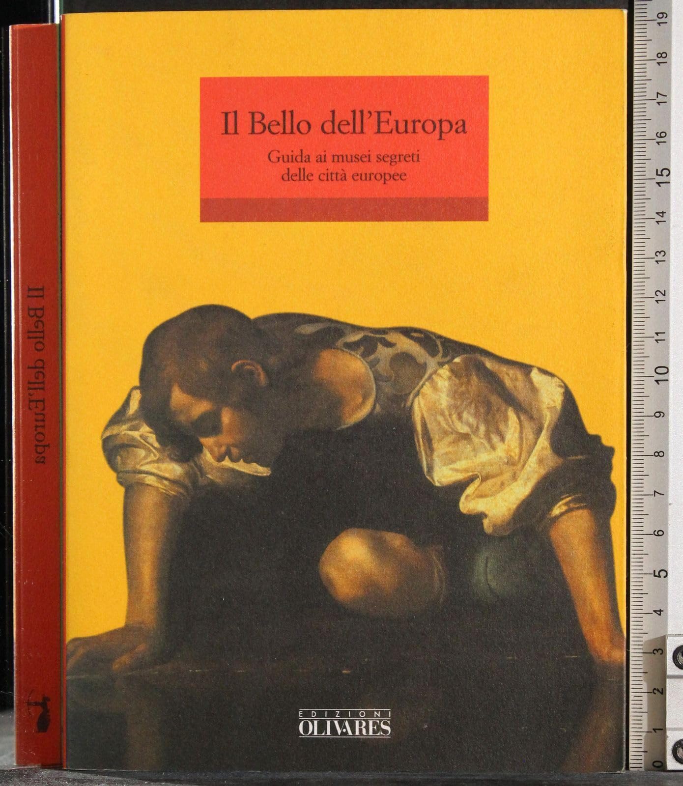 Vele verso la Cina. Come produrre e vendere nel più grande mercato del futuro book