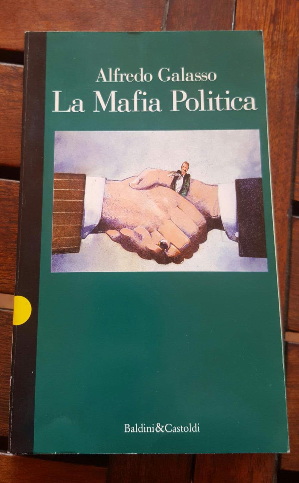 La mafia politica book
