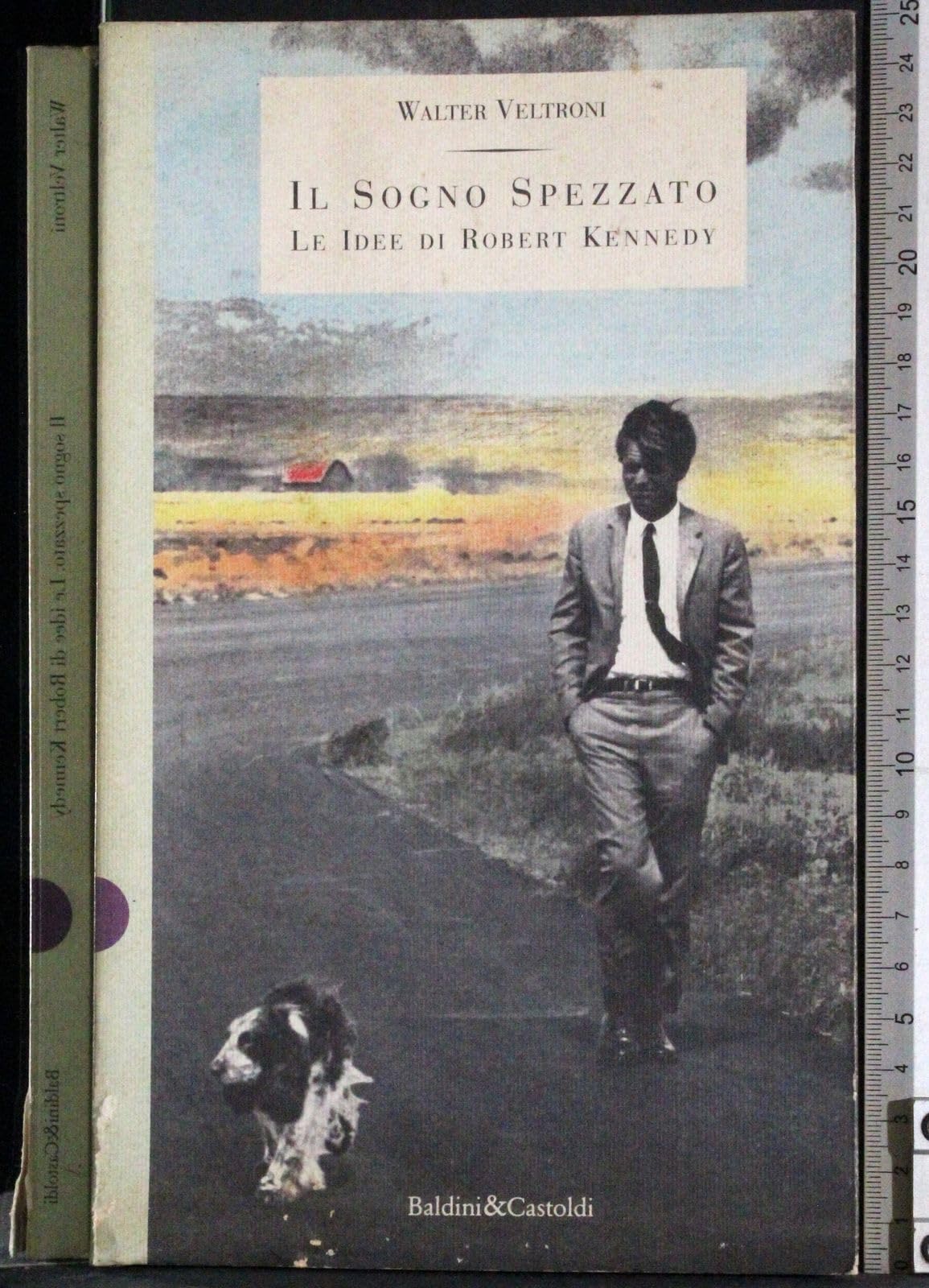 Il sogno spezzato. Le idee di Robert Kennedy (I saggi) Social Sciences