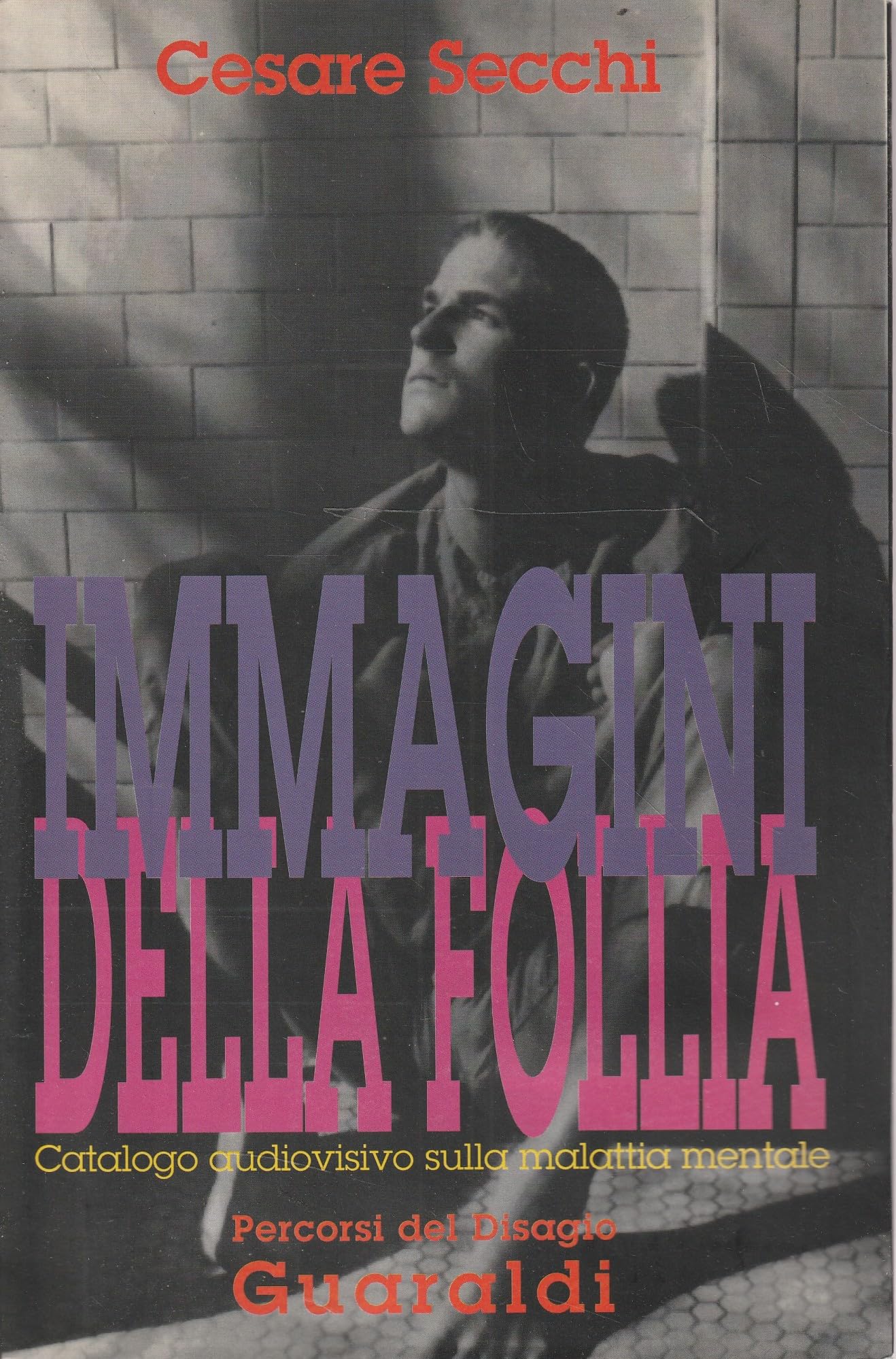 Immagini della follia. Catalogo audiovisivo sulla malattia mentale book
