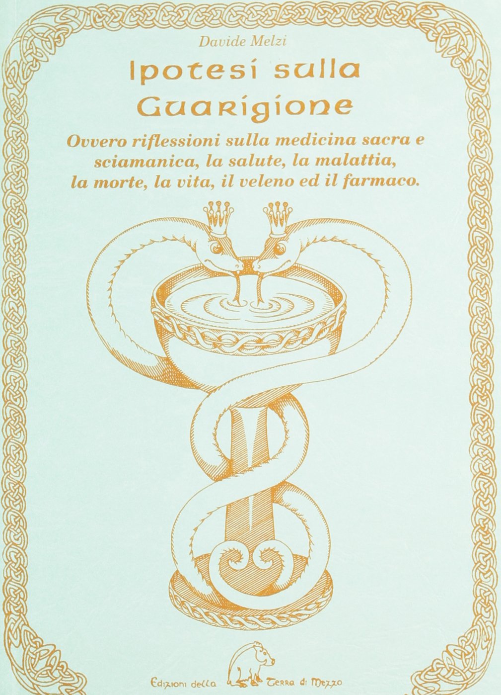 Ipotesi sulla guarigione ovvero riflessioni sulla medicina sacra e s ciamanica, la salute, la malattia, la morte, la vita, il veleno ed il farmaco book
