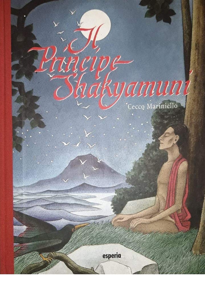 Il principe Shakyamuni. Ediz. illustrata book