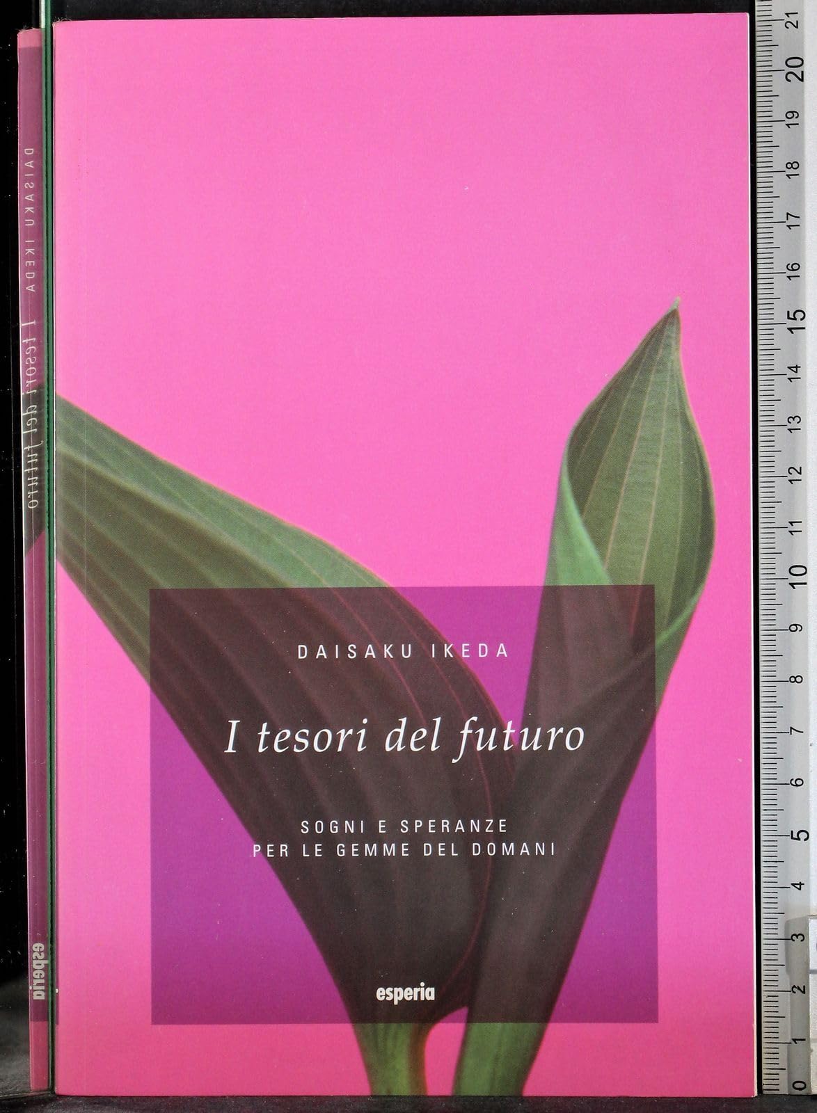I tesori del futuro book
