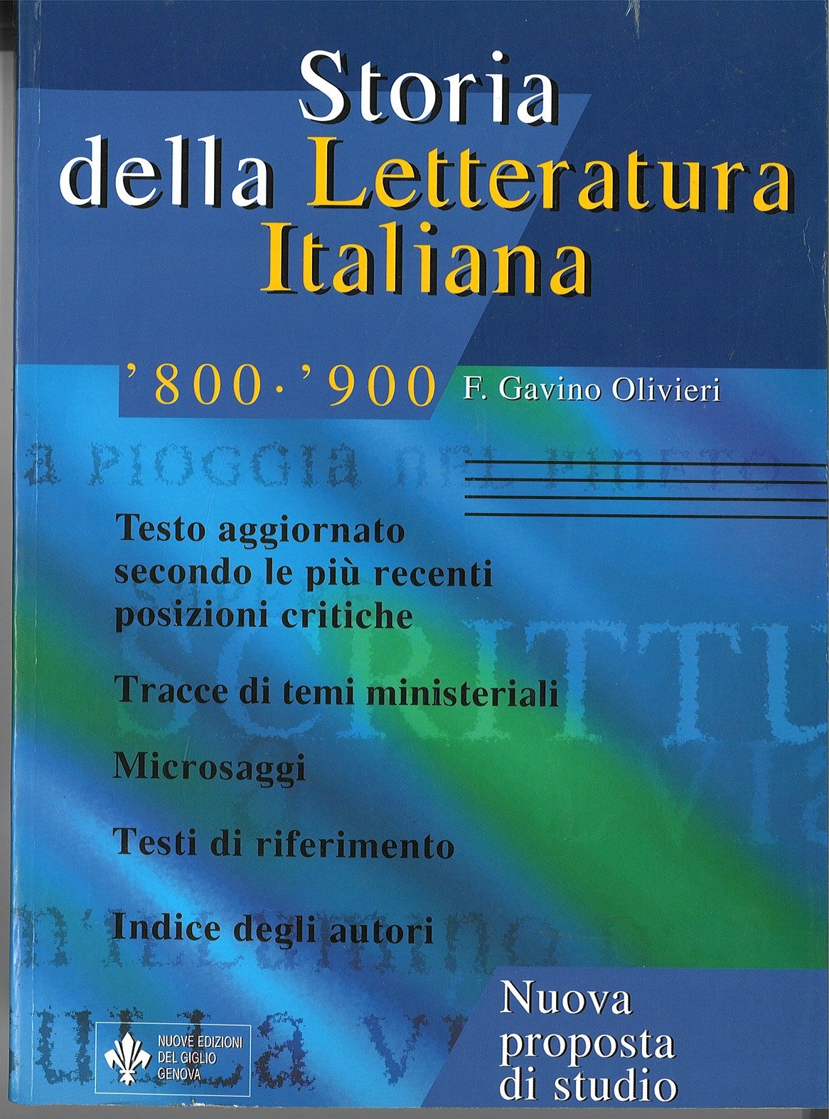 Storia della letteratura italiana 800-900. Una nuova proposta di studio Professional & Reference Books